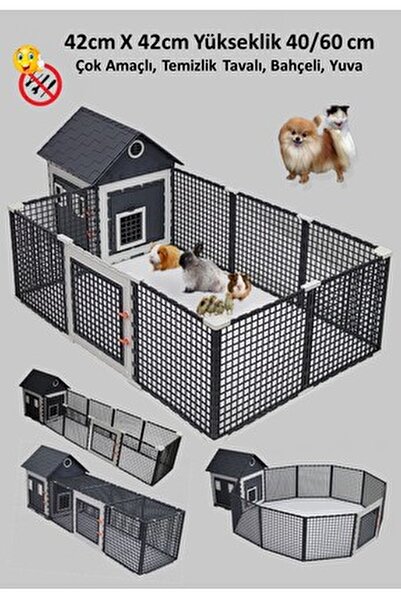 kedi .hamster .civciv. Tavuk. Yuva ...