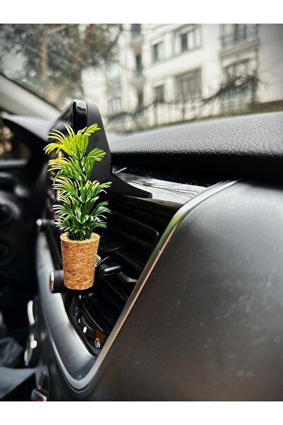 Plantarrium Design Oto Aksesuar/Koku-Alba