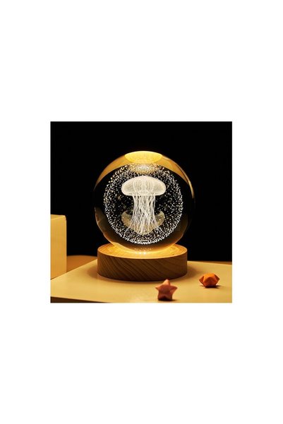 Generic Brand Sea Anise Glass Globe with Lighted Wooden Stand USB Li, White, 9X7