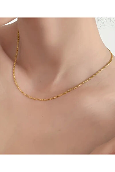 NBS Beautiful Naturel Stones Altın Kaplama Standart Kolye Zinciri 42+5 cm ( Kendi Kolye Ucunuzu Takabilirsiniz )