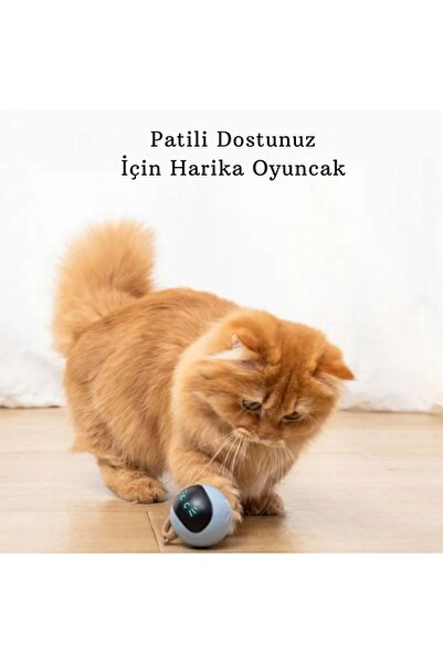 YENİTECH Akıllı Kedi Oyuncağı Kendi Kendine Otomatik Dönen Usb Şarjlı Kedi Kö...