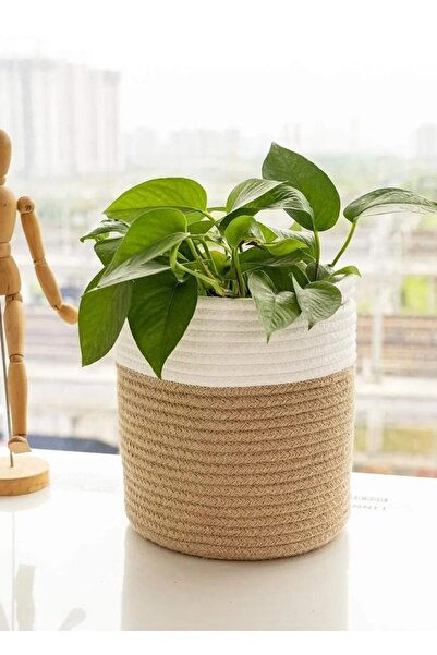 HomeTurko أصيص زهور من الخوص باللون البيج مقاس 25 سم × 20 سم - أصيص زهور وسلة...