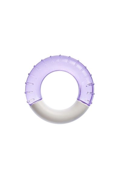 babysch Baby Water Teether