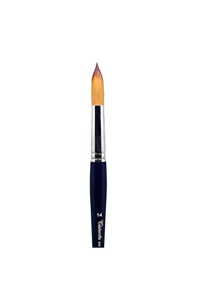 TINTORETTO Βούρτσα Σειρά 450 N:14