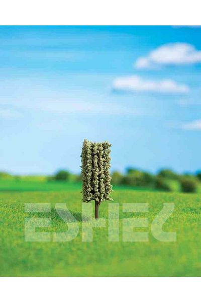 Eshel Model Cylinder Pine 4.5 Cm 3 Pieces
