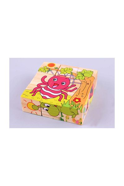 Learning Toys Wooden Puzzle Cubes