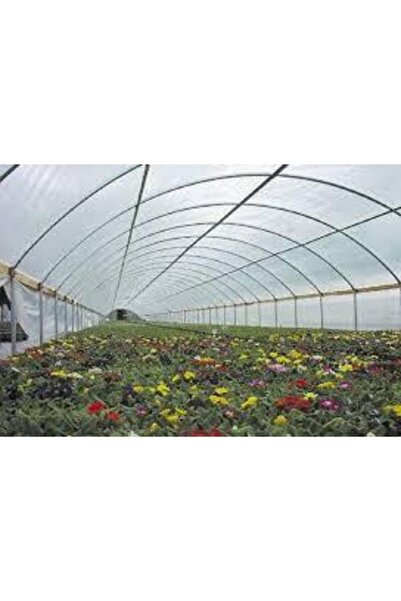 Bereket 36 Aylık Sera Naylonu 360 Mikron Uv - Eva-ır-ao-ae Katkılı 8x6