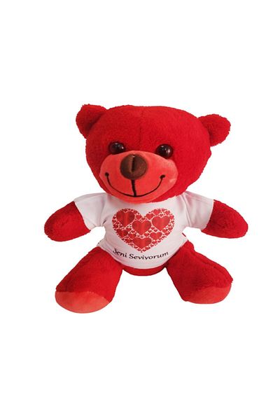 Erbaahome Red Teddy Bear with Heart T-Shirt and I Love You Written