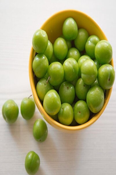 Bilgarden Tüplü Leziz Bol Sulu Verimli Yarı Bodur Yeşil Cin Erik Fidanı