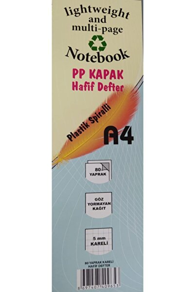 Saray 3 Pieces A4 Plastic Cover 80 Sheets Checkered Not Tired Notebook Sry