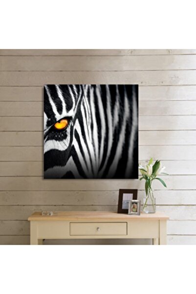 50x50 Zebra Kanvas Tablo