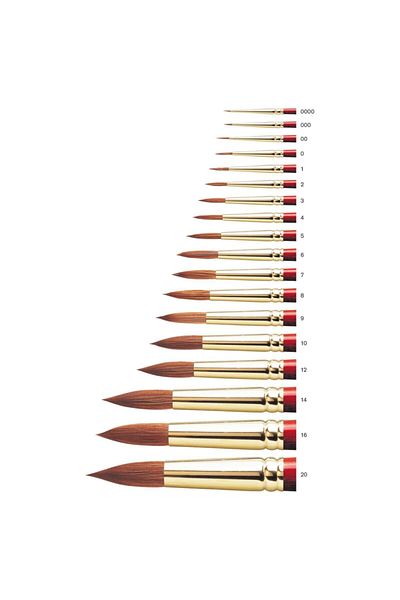 Winsor Newton Winsor & Newton Scepter Gold II Στρογγυλή βούρτσα με κοντή λαβή N:9