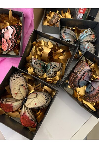Rölyef Sanat Evi Hediyelik Kelebek Magnet Kutusu