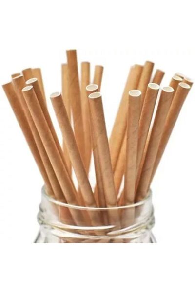 Big Party Paper Straws Kraft Color Party Straws 24 Pieces