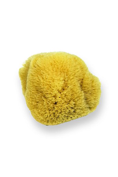 BAZAAR 4 Sea Sponge Baby - Comfortable and Stylish Design