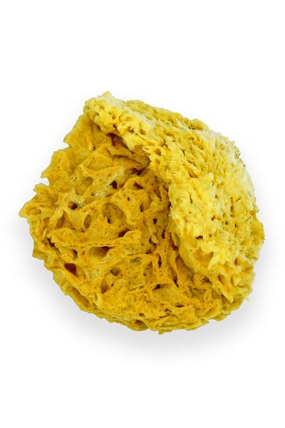 BAZAAR 4 Natural Sea Sponge 15-20 gr