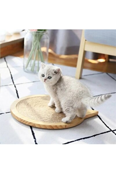 Kedi Tirmalama Tahtasi Fiyatlari Trendyol Sayfa 20