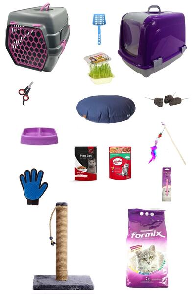 ASATEKNOLOJİ Kedi Başlangıç Seti Ve Ihtiyaçları 15'li Set