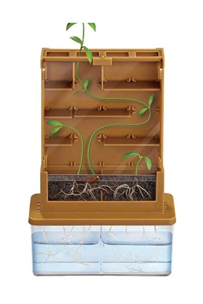 hiçdurmaal Labirentli Minyatür Plastik Bitki Gözlem Deney Kiti 1 Adet