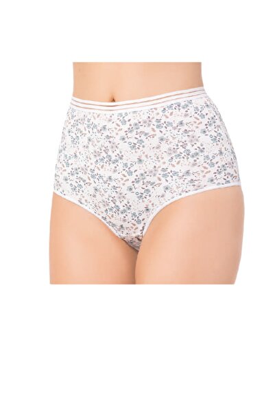 Öztaş Underwear Kadın Düz Renkli Yüksek Bel Külot (4'lü Paket)