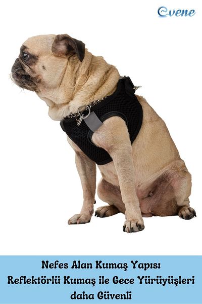 Evene Dog Collar Chest Neck Collar Set with Dispatch Strap Anti-Sweat Breathable Reflective Collar