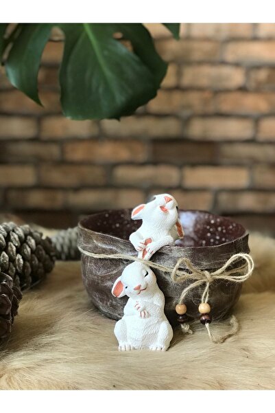 Luthien Kahve Tavşan Saksı & Sepet & Meyve Sepeti