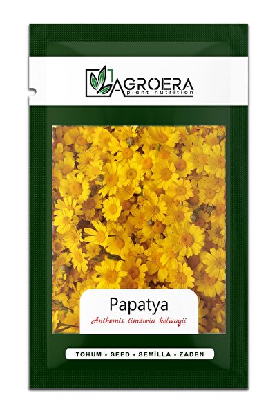 AGROERA 100 Adet Altın Papatya Tohumu Sarı Papatya Tohumu (ANTHEMİS TİNCTORİA...