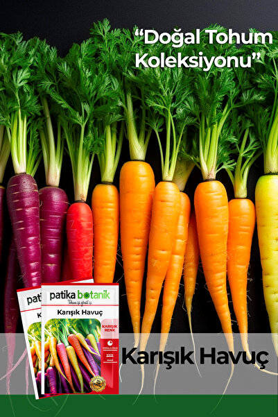 Patika Botanik 3000 Adet Karışık Havuç Tohumu (SARI,TURUNCU, MOR, KIRMIZI)