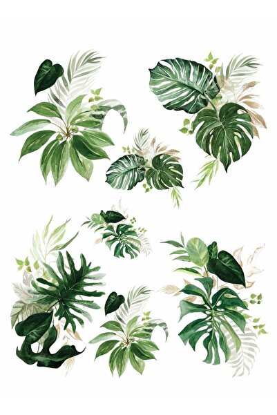 Genel Markalar Sulu Transfer Kağıdı Lnt122 25x35 Cm