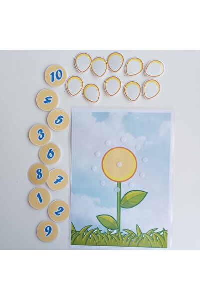 Etkinlik ve çocuk عد بتلات البابونج