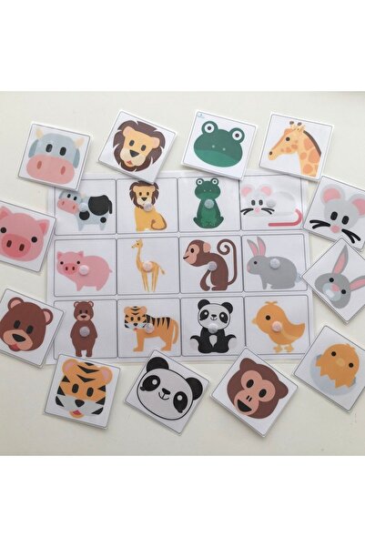 Etkinlik ve çocuk دعونا نجد وجوه أصدقائنا اللطيفة