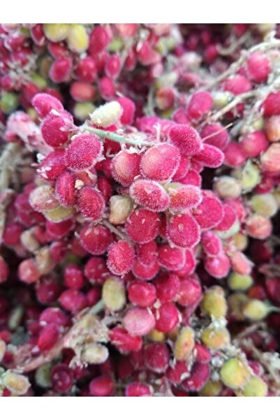 mut incisi zeytin & zeytinyağı Dağ Sumağı 1 Kg