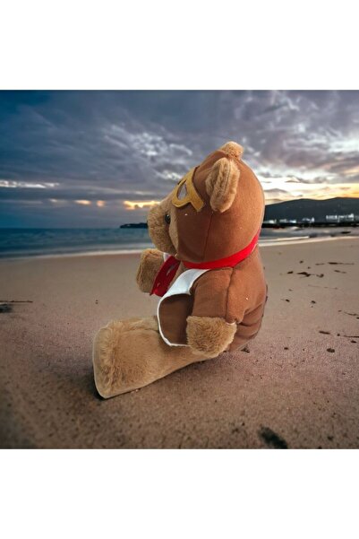Mellito Toyzz Vecıhi Teddy Bear Top Special Gift for Lover Plush Toy Moon