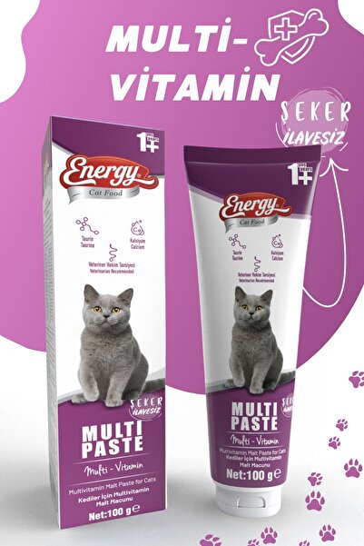 Energy Multi Paste 100gr Multivitamin Malt (Bağışıklık Sistemi Destekleyici T...