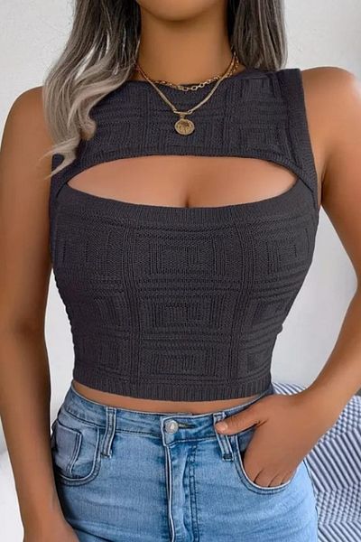 ESSFASIHON Crop πλεκτή μπλούζα Crew Neck Guipure