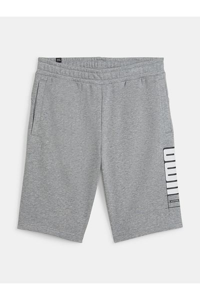 Puma Essentials Logo Lab 10" Shorts