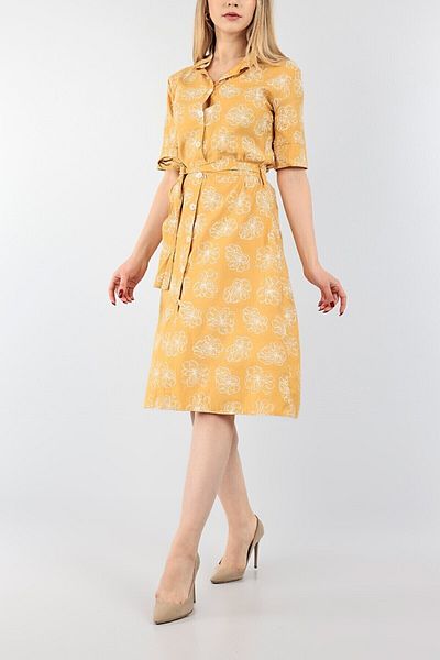 Phoenix Women Viscose Dress - Buttoned