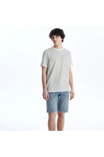 LC Waikiki LCW Casual Crew Neck Short Sleeve Striped Combed Cotton Men's T-Shirt