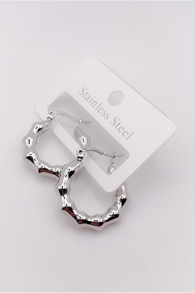 Trinos Steel Earrings Curved Earrings Asymmetric Hoop Earrings