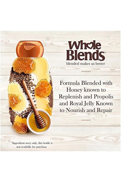 Garnier Bal Özlü Onarıcı Şampuan 650ml