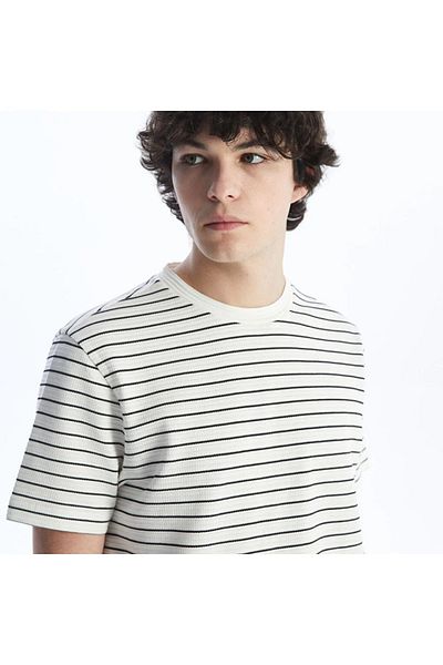 LC Waikiki LCW Casual Crew Neck Short Sleeve Striped Combed Cotton Men's T-Shirt