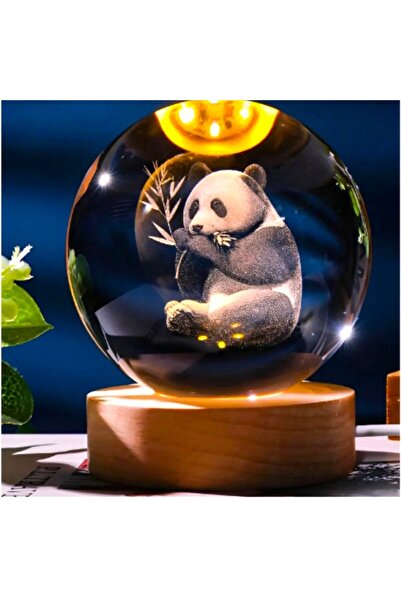 Özen Avm Dekoratif Işıklı Ahşap Stand'lı Tasarımlı 3D Panda Cam Küre Büyük Boy