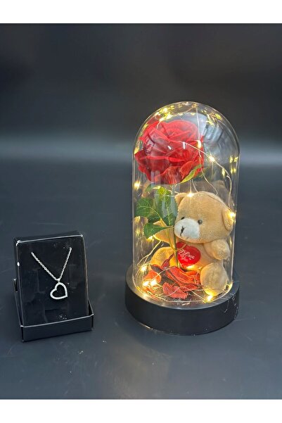 Masalsı Concept 14 Şubat Sevgililer günü Hediyesi Ledli Fanusta Aşkın Simgesi...