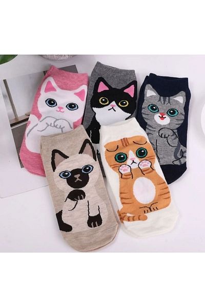 ASGÜL SOCKS Сладки котешки шарени ботуши Чорапи 4 чифта