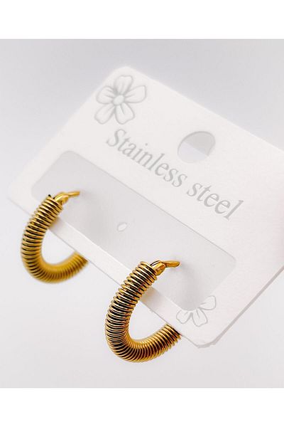 Trinos Steel Earrings Spring Hoop Earrings