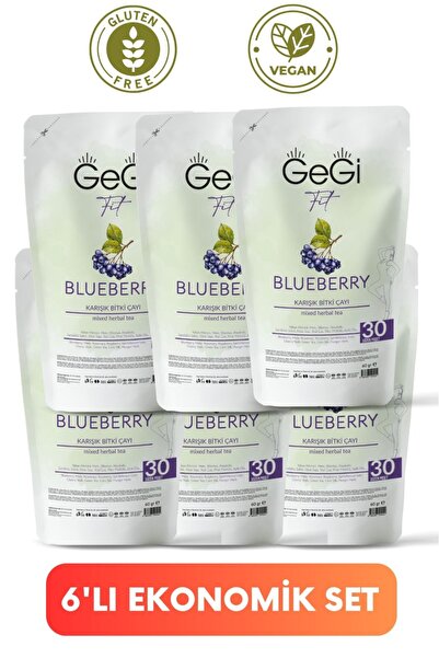 GEGİ Yaban Mersinli Blueberry Tea Çay 6lı Ekonomik Paket