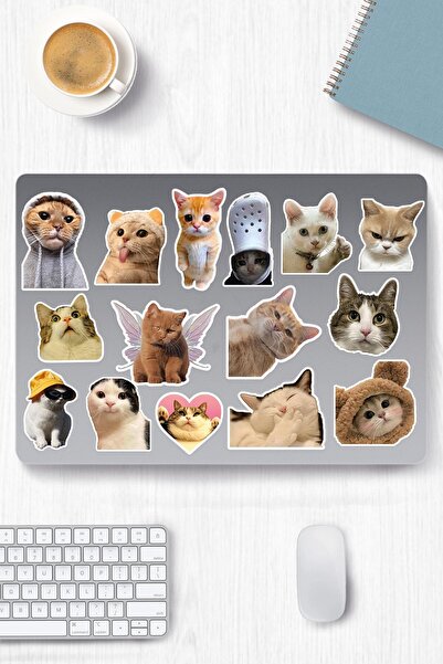 Sambu Design Kedi Temalı Sticker Etiket Seti - Cat Sticker - Laptop Notebook Telefon