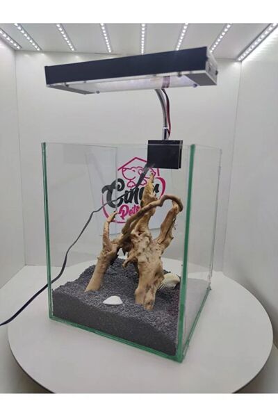 Çınarpetshop ÖZEL TASARIM AYDINLATMALI AKVARYUM
