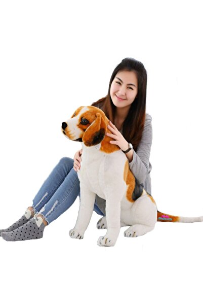 hediyecik Real Looking Plush Beagle Dog 70 cm