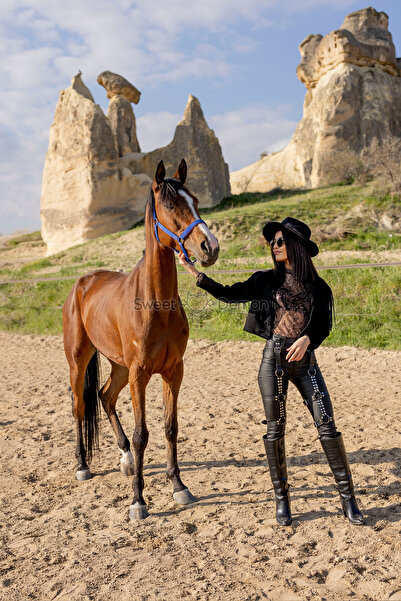 Sweet Demon Stylish Leather Leg Accessory - Belt with Rivet Detail and Waist and Leg Tie